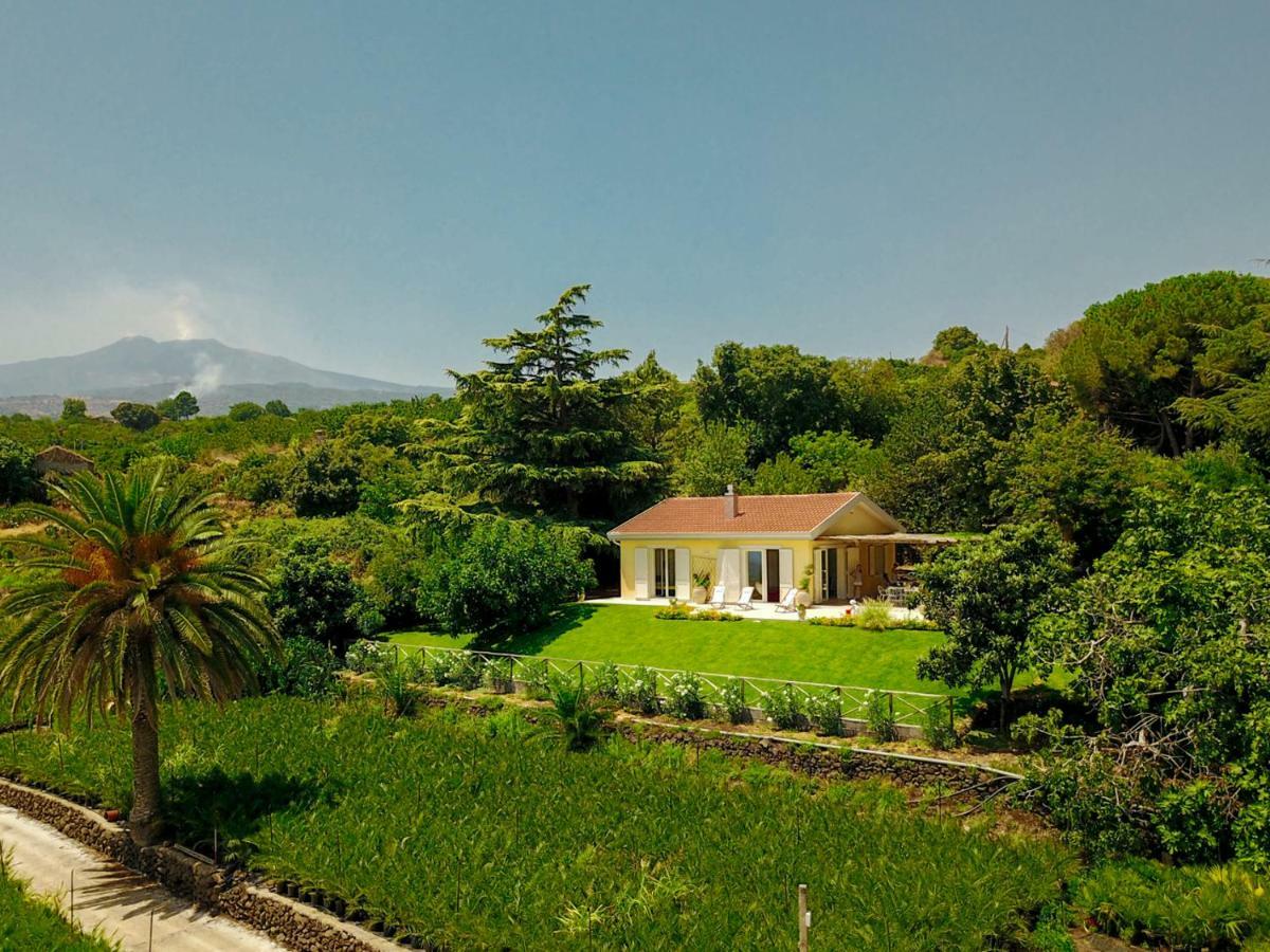 Villa Palm Hill ปิเอดิมอนเต เอตเนโอ ภายนอก รูปภาพ